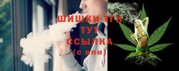 тгк Вяземский